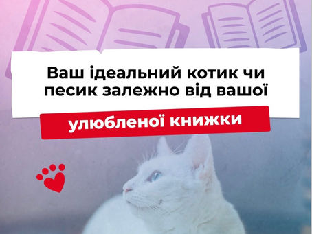 "Ваш ідеальний хвостик за мотивами улюбленої книги" - спільний проєкт з Vivat