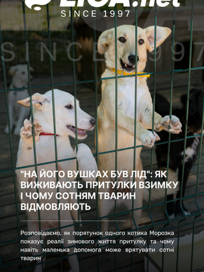 Інтервʼю власниці притулку Марії Вронської для LIGA.net