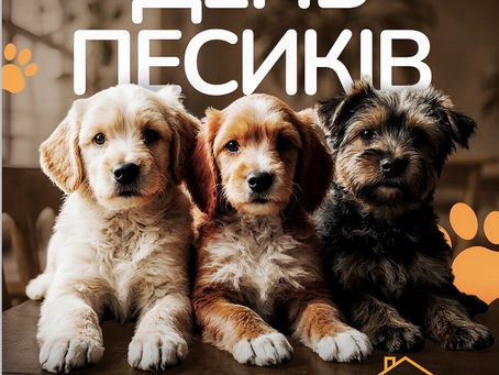 "День песиків" від Gostomel Shelter, разом із @kyiv.gastrobar
