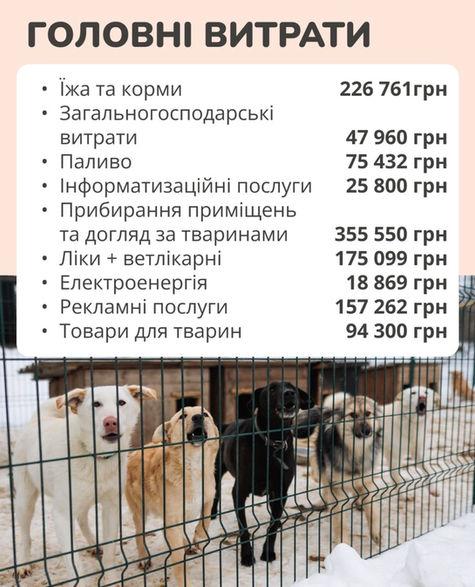 Звіт за лютий, 2026