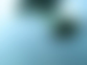 Uns links para uns focas