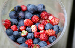strawberries and blueberries