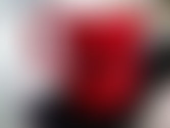 CANECAS: Revolution Books