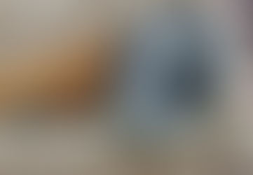 Sobre ‘Um foca na sexta’: novidades