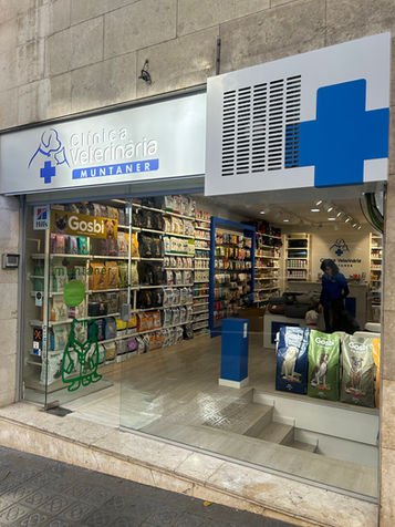 Proyecto y realización local productos para mascotas y clínica veterinaria