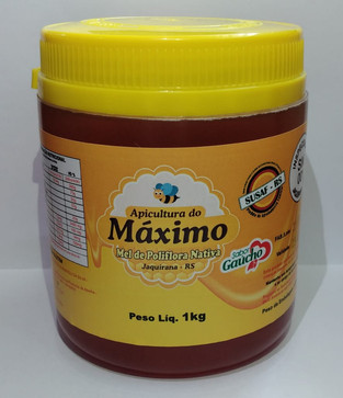 Mel puro você encontra aqui, na Apicultura do Máximo, Jaquirana|RS