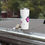 Thumbnail: #YallMeansAll Tumbler, Bubblegum, 22oz Travel Mug, Equality, Inclusion