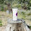 Thumbnail: Y'all Means All MIX Tumbler, Neon, 22oz Travel Mug, Equality, Inclusion