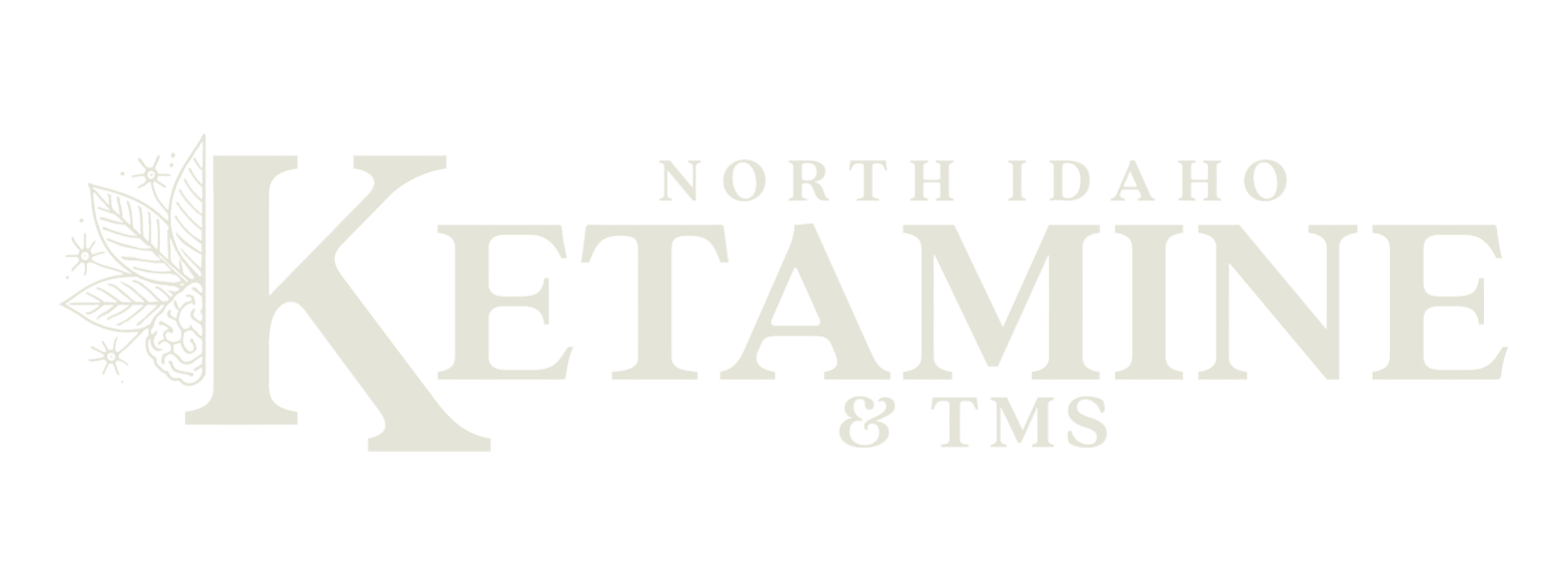 North Idaho Ketamine & TMS logo