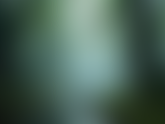 Exploring the Mystical World of Druids and Ancient Celtic Religion in Pre-Christian Ireland