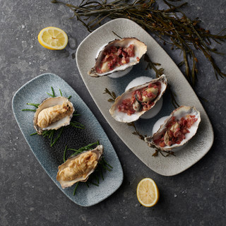 STUDIO PRINTS RAKU DUO OYSTERS STARTER (