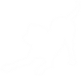 alfie.png
