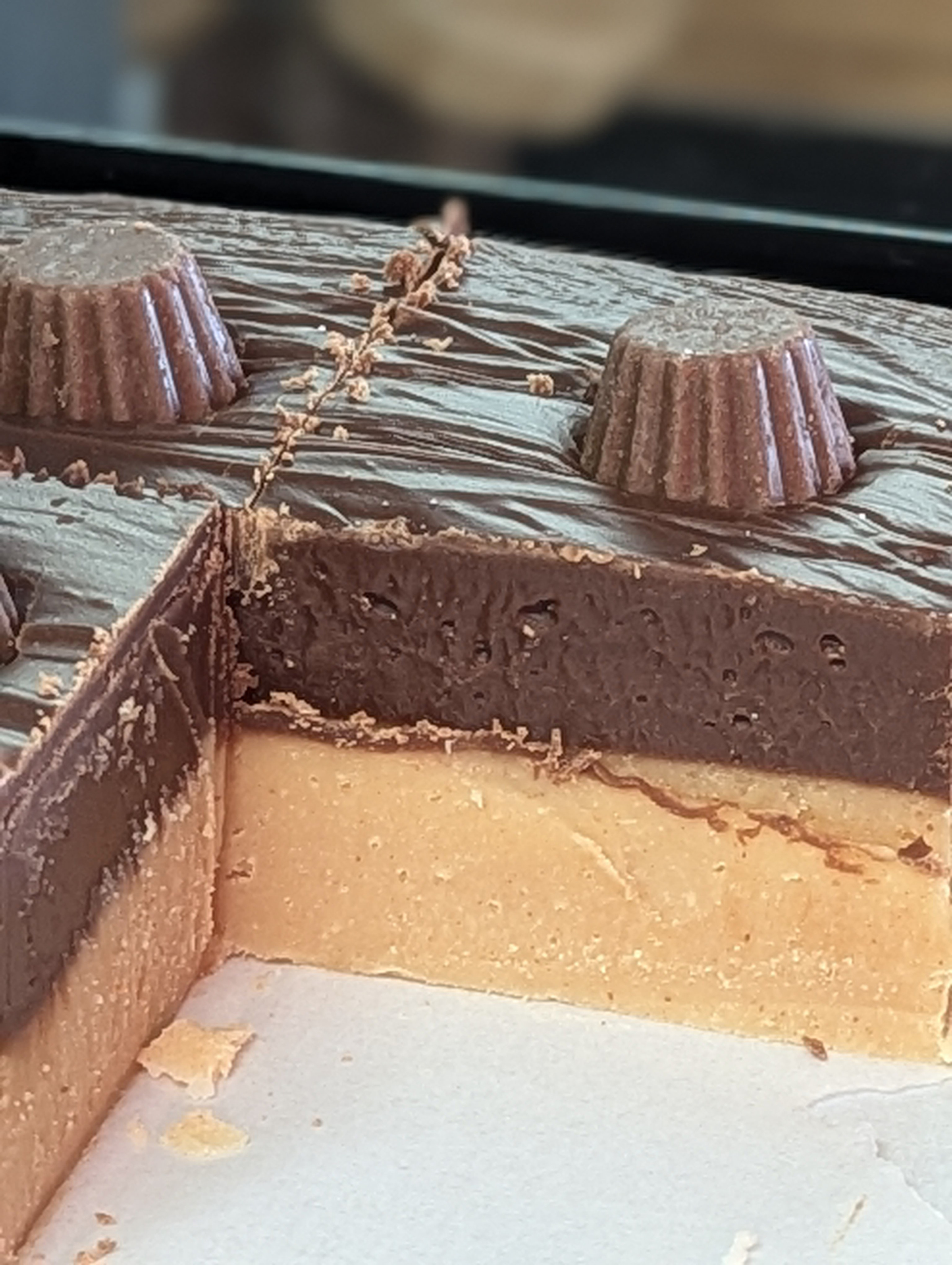 Peanut Butter Chocolate Fudge Bar