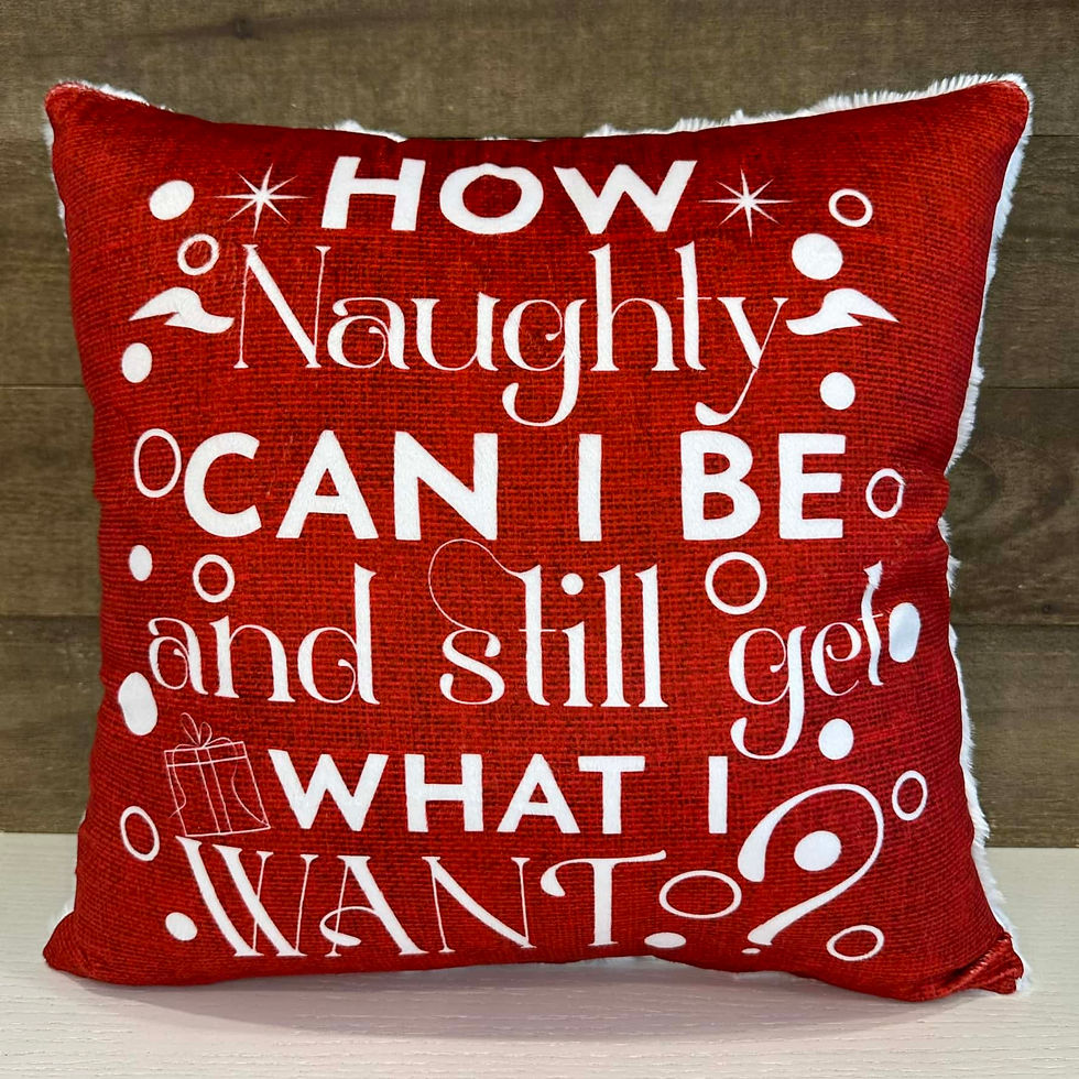 Throw Pillow Cover - How Naughty Can I Be?