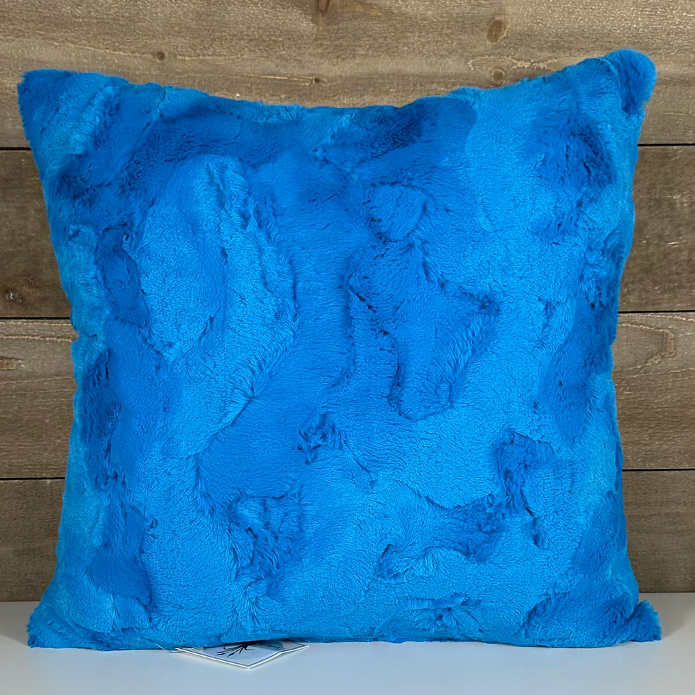 Thumbnail: Pillow Cover - Canada's Baseball Team