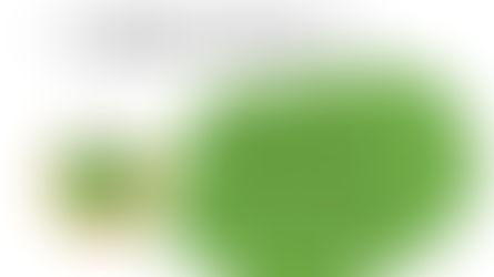 お盆休みのお知らせ