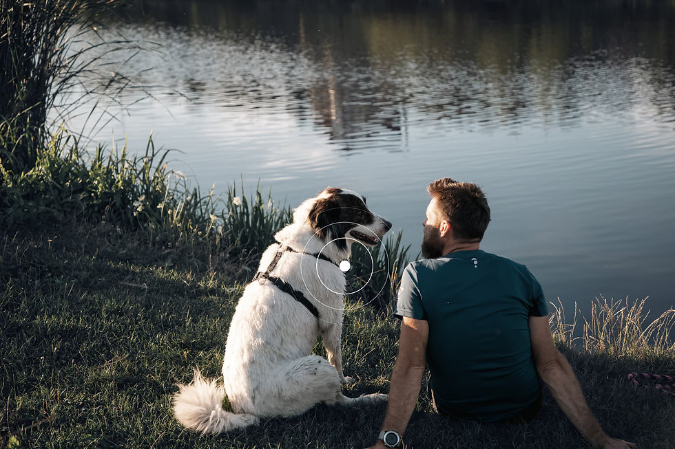 man-and-dog-sitting-beside-peaceful-lake-2026-03-24-23-23-35-utc.jpg