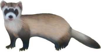 Untitled-2.png
