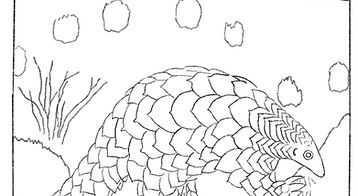 Giant_Ground_Pangolin_Coloring_Sheet.JPG