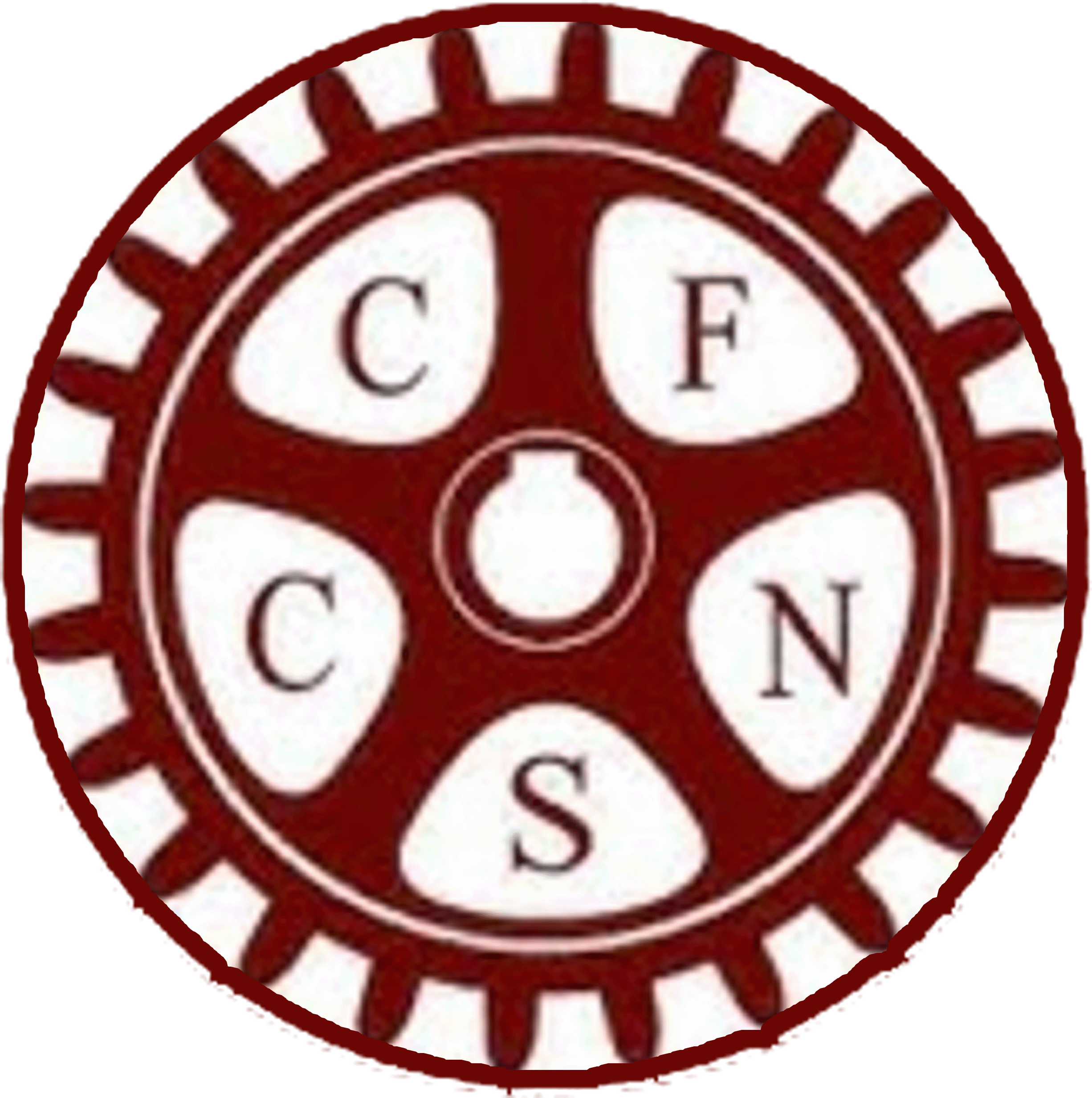 CSN.gif