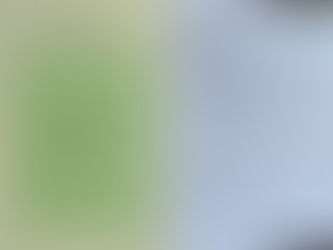 Bringleistungsprüfung (BLP)