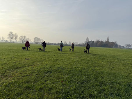 Nachtreffen mit dem A-Wurf 