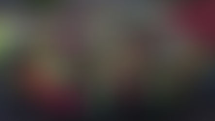 Glühwürmchentag 2019