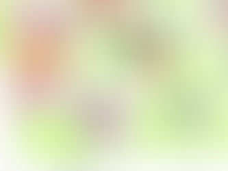 Kindertexte: Erstklässler schreiben zum Sportfest