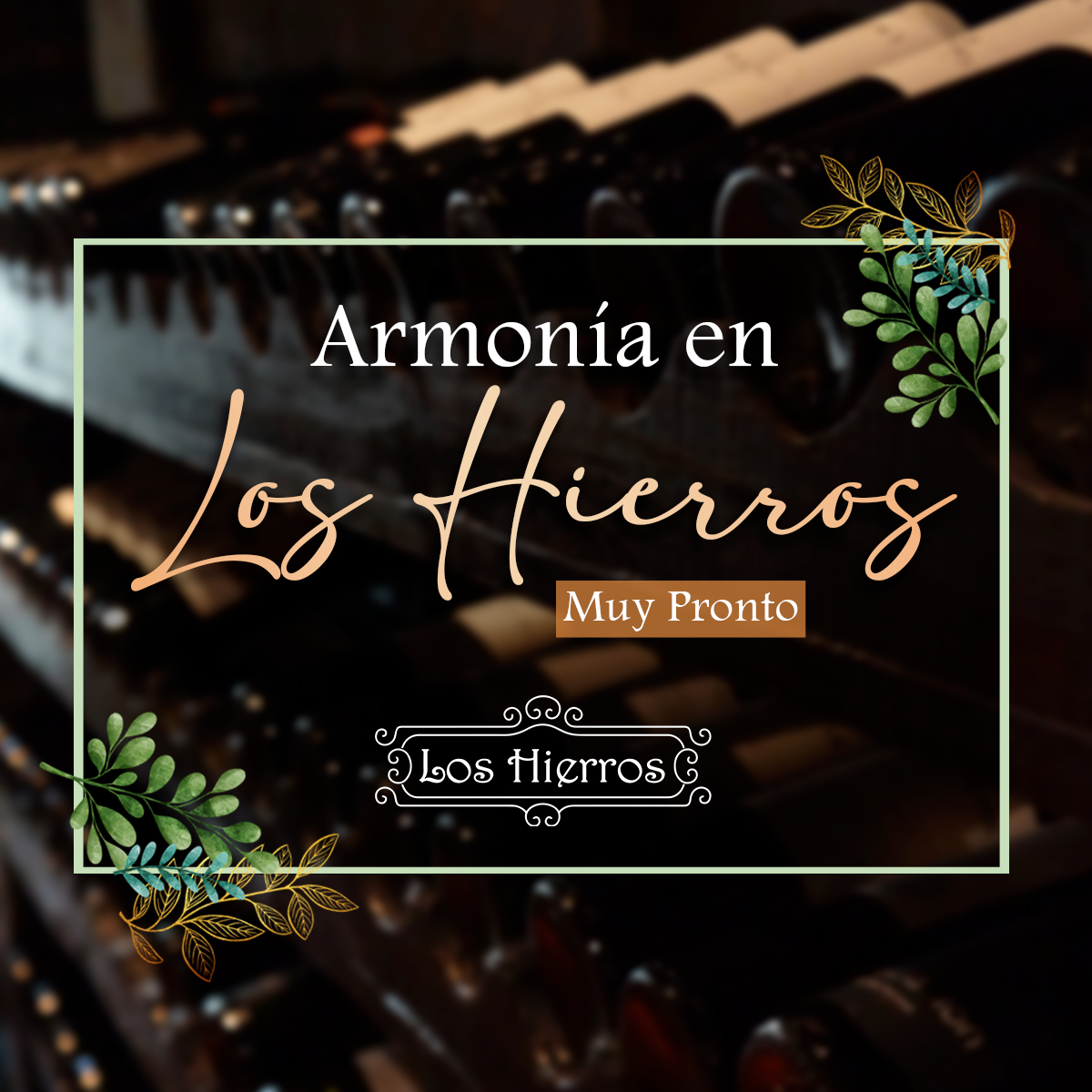 https://www.facebook.com/LosHierrosBolivia