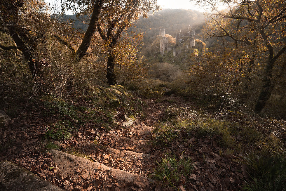 Romanticism, Fantasy, and the Landscape: The Roots of My Visual Language