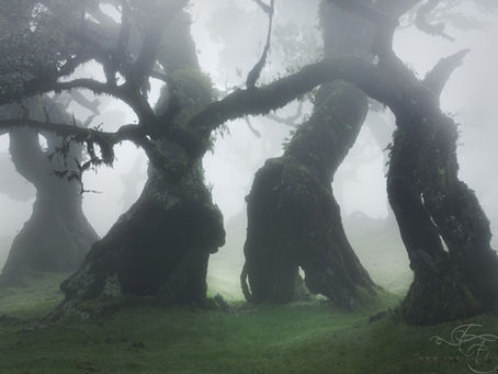 How Landscape Photography Learned to Destroy What It Loves