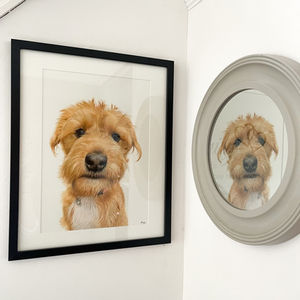 Framed Drawings