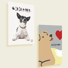 HOPLION 浪浪也過冬 公益企劃 