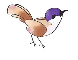 Monatsmeise3_edited.png