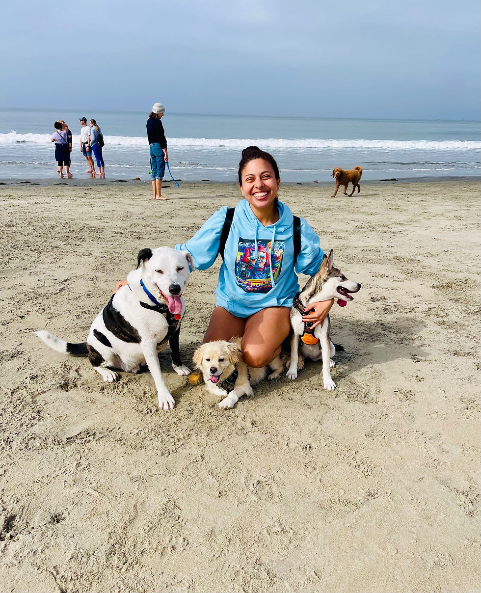 Thumbnail: The Power Hoodie