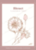 Carte "Le Bleuet illustrée". Illustration : Moli K.anz © Ciel & Plantes