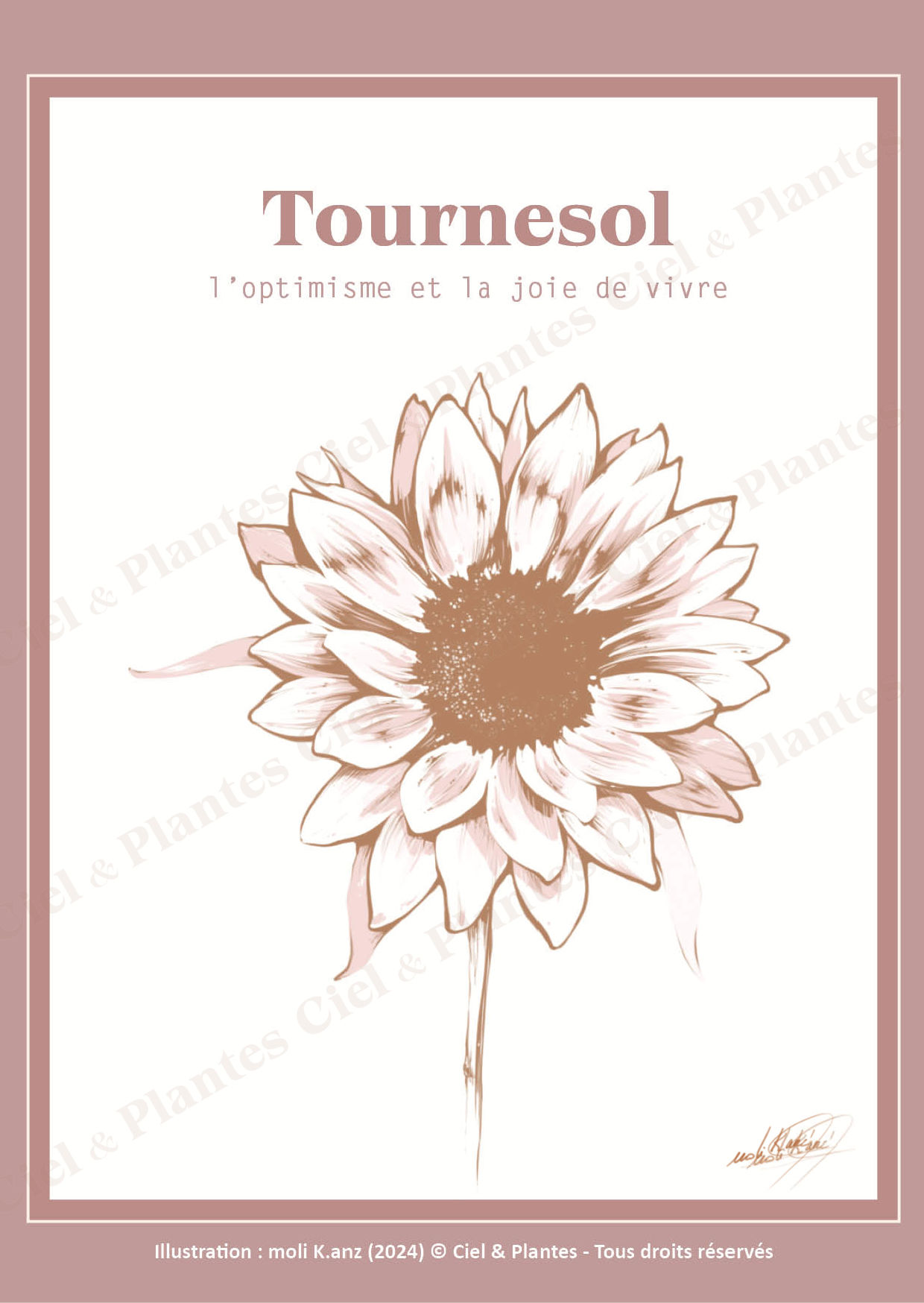 Carte "Le Tournesol illustré". Illustration : Moli K.anz © Ciel & Plantes