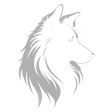 Rough collie_edited_edited_edited.png