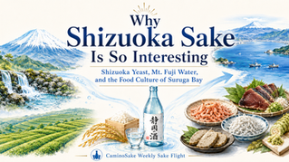 Shizuoka Sake Guide: How Local Yeast, Mountain Water, and Seafood Shaped a Modern Sake Region