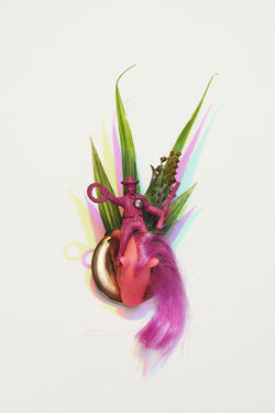 Why are we so perfect?