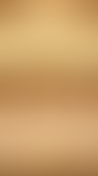 Comprehensive Services from Dallas Diamond Brokers