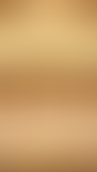 Comprehensive Services from Dallas Diamond Brokers