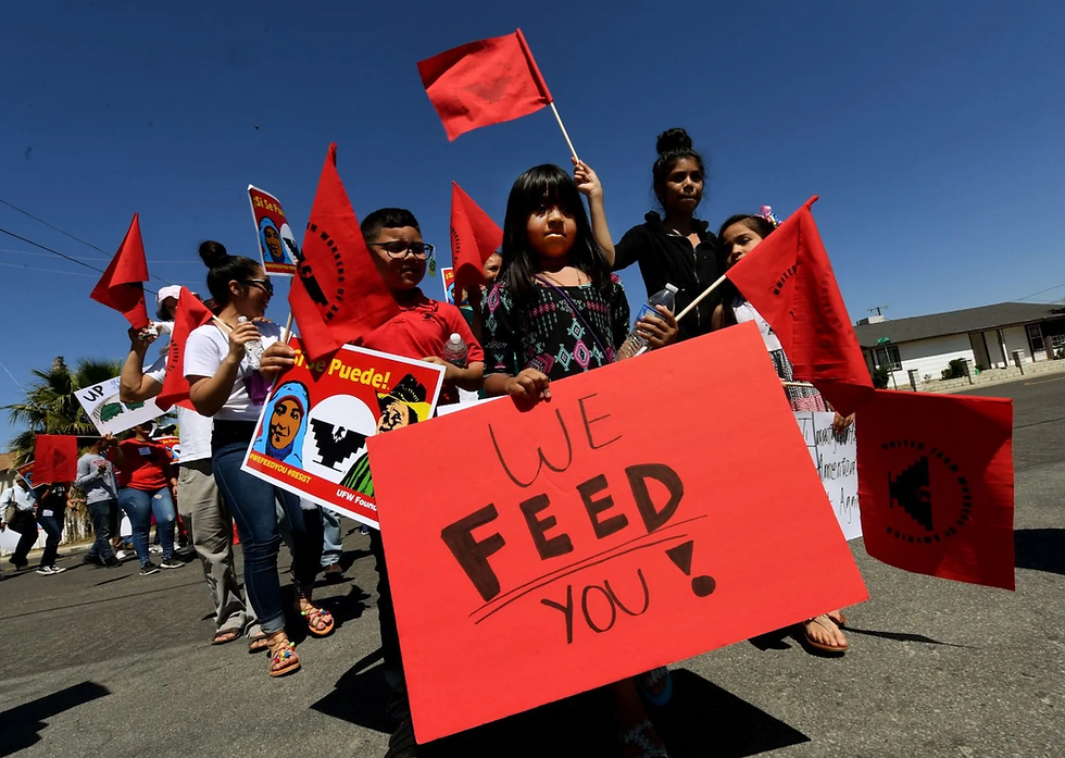 Seeds of (in)Security: California’s Abundance Paradox: Why the Hands That Feed Us Go Hungry