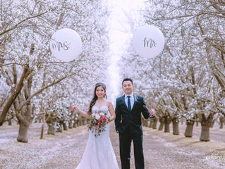 Stephanie + Steven | Engagement Session | Bakersfield Almond Blossom