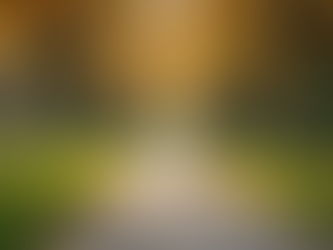 Inclusive Self-Defense: A Wellness Approach for Seniors