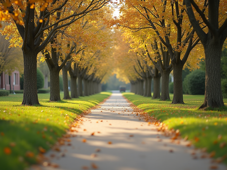 Inclusive Self-Defense: A Wellness Approach for Seniors