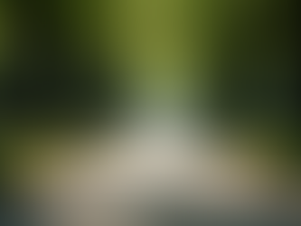 Recognizing Predator Behavior: Early Signals to Enhance Your Safety