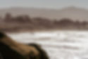 Half Moon Bay-06264.jpg