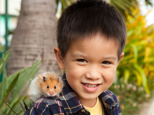 iStock-468786476.jpg