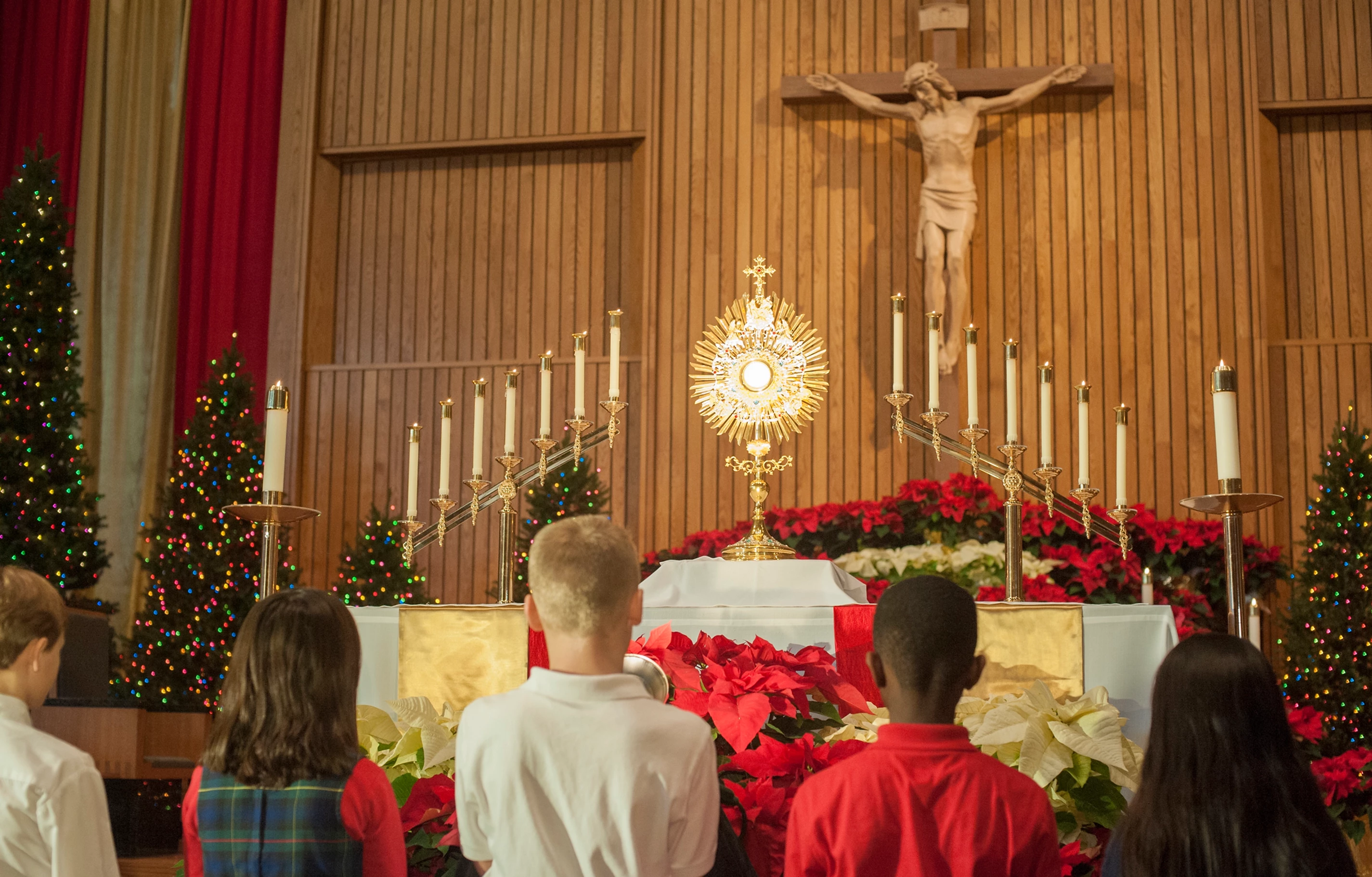 Adoration pic.webp